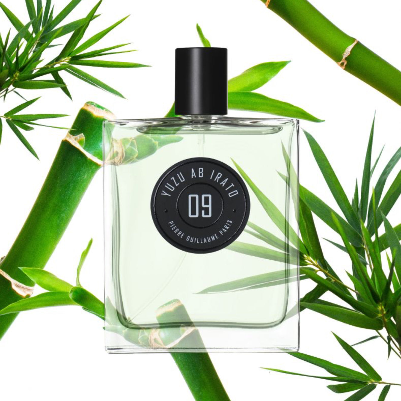 Perfume bottle with a black cap on a white background with green leaves