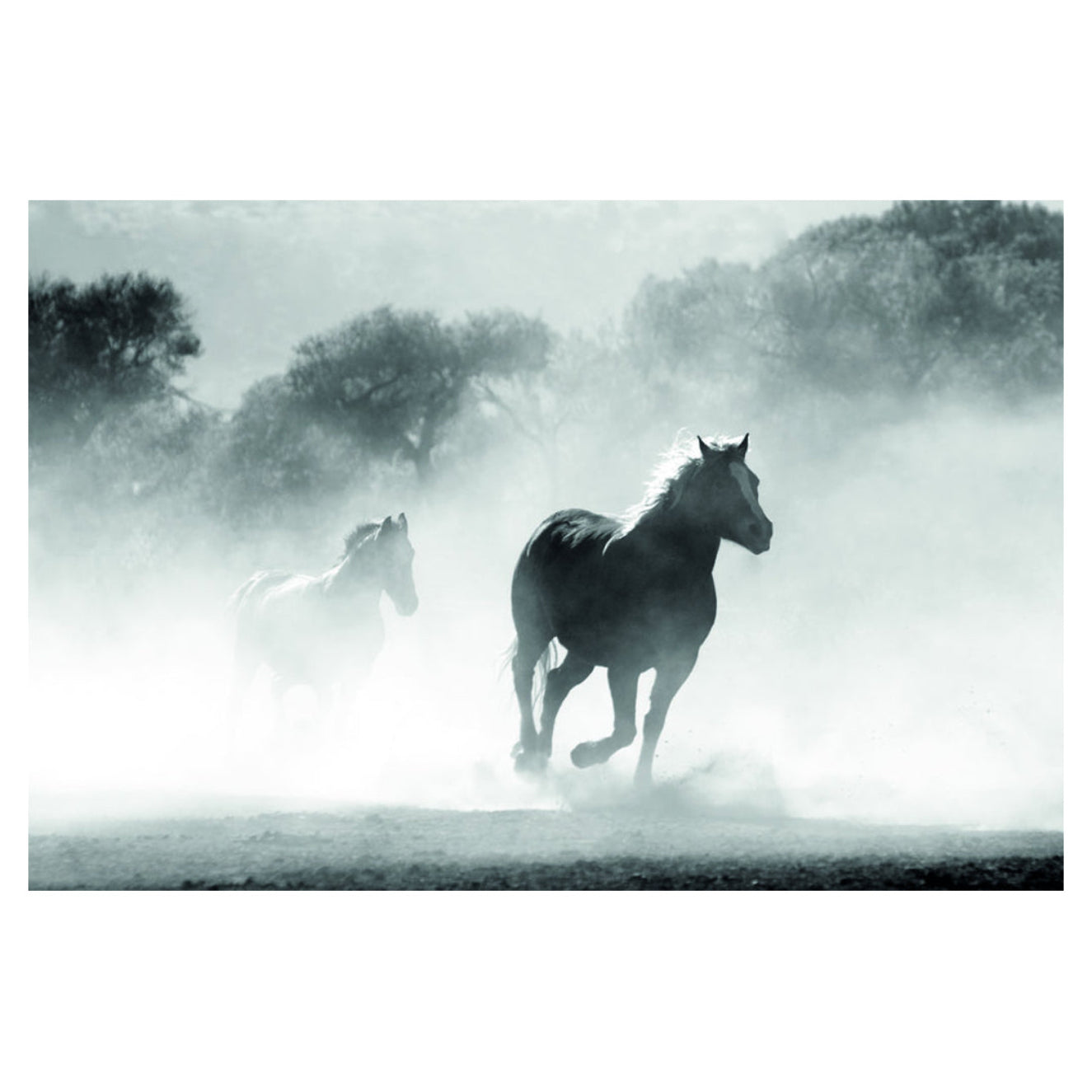 Two horses running in a misty field with trees in the background pierre 