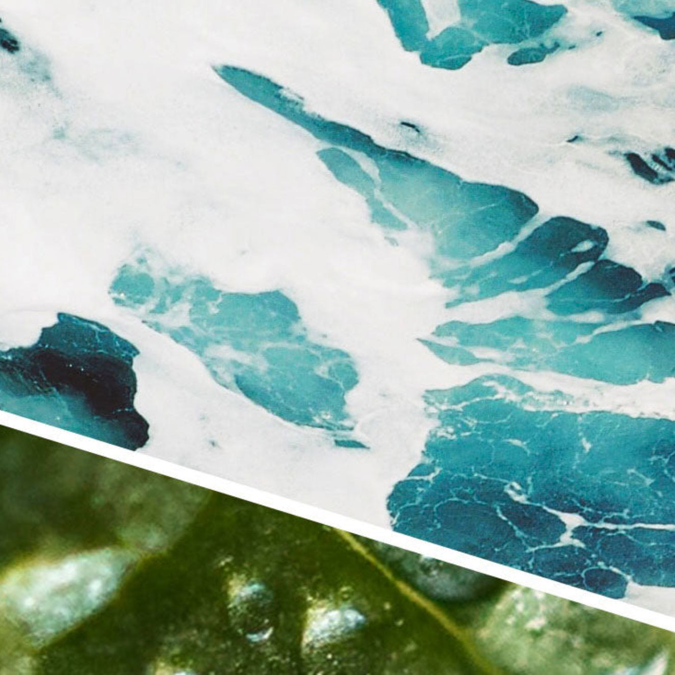 Close-up of ocean waves with a green leafy texture overlay