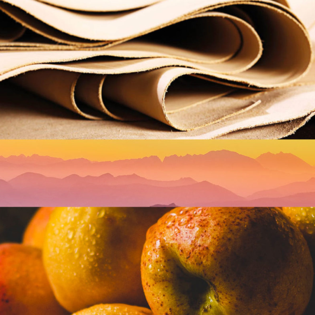 Close-up of crumpled newspaper with a gradient background and close-up of apples.