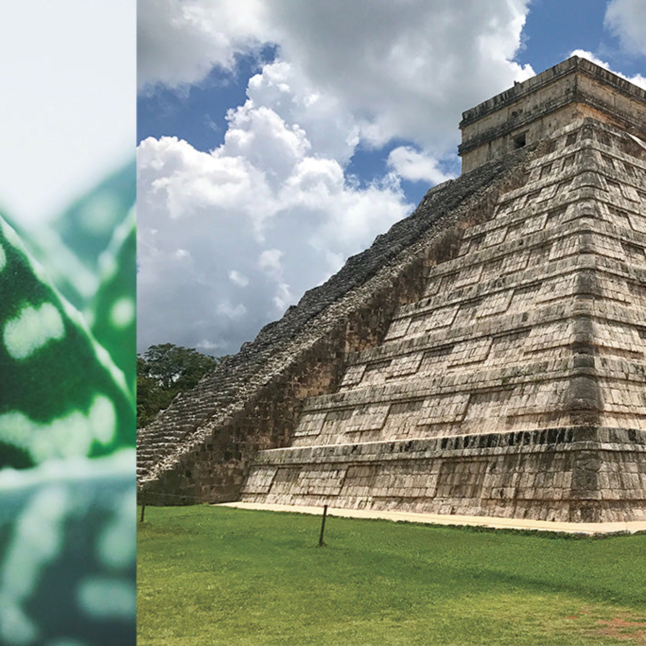 Mayan pyramid with green foliage on the left