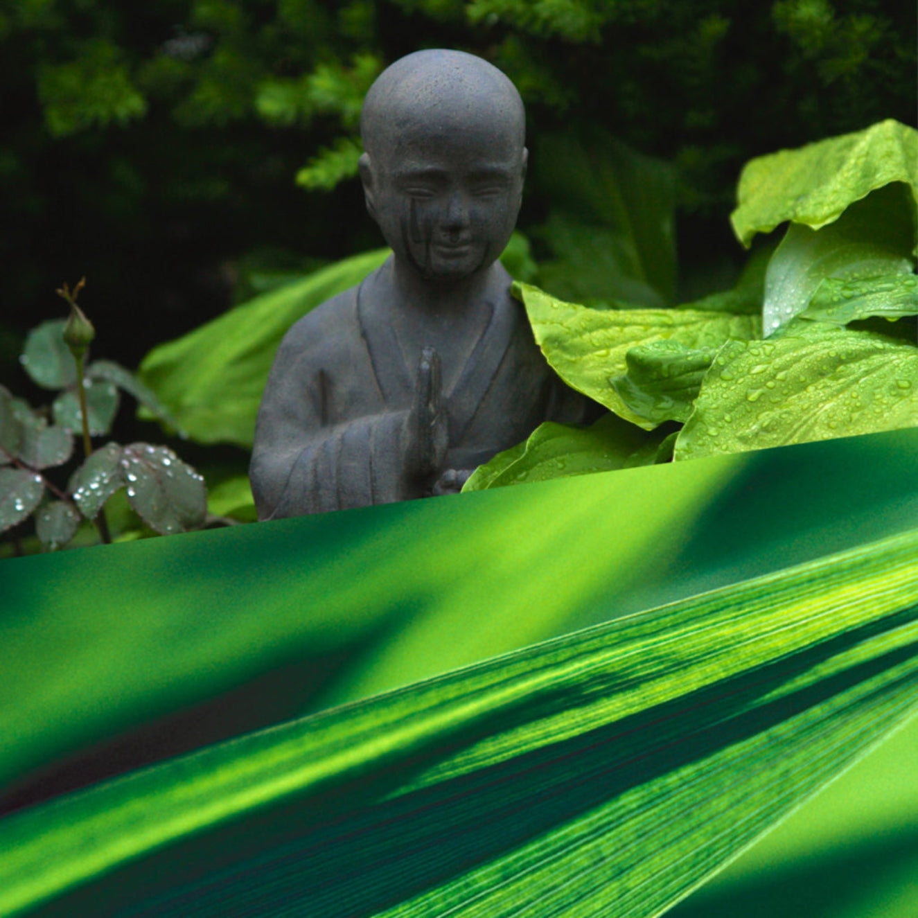 Statue of a monk surrounded by green leaves and plants