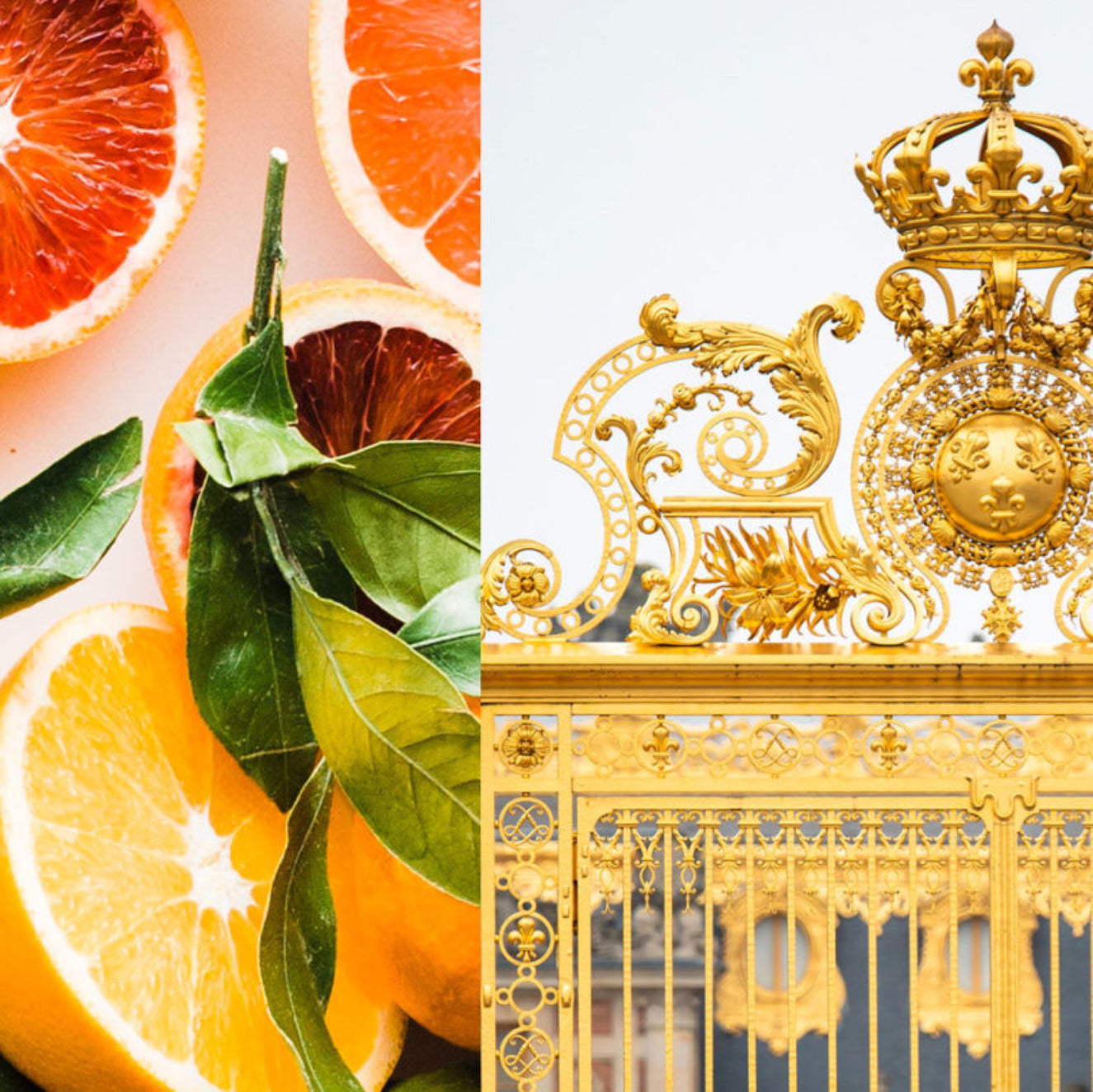 Split image with sliced oranges and leaves on a pink background, and an ornate gold gate with a crown on a light blue background.