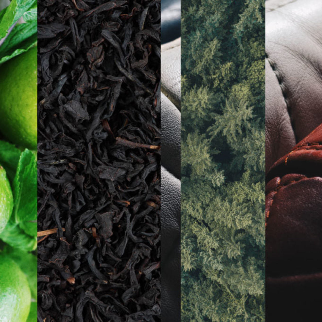 Collage of close-up images including green leaves, black tea leaves, a textured surface, and brown leather.