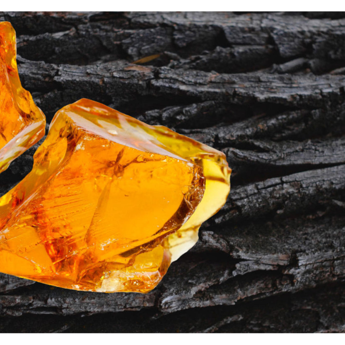 Two pieces of amber on a dark, textured surface
