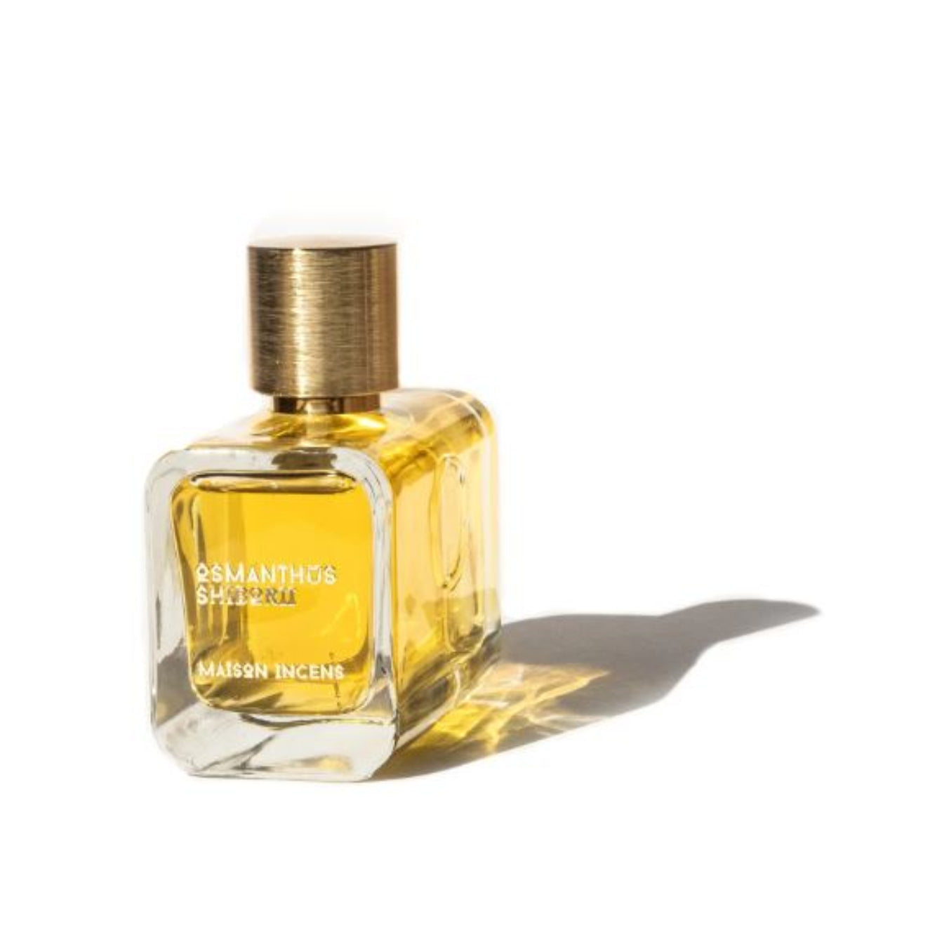 Osmanthus Shiborii - Maison Incens